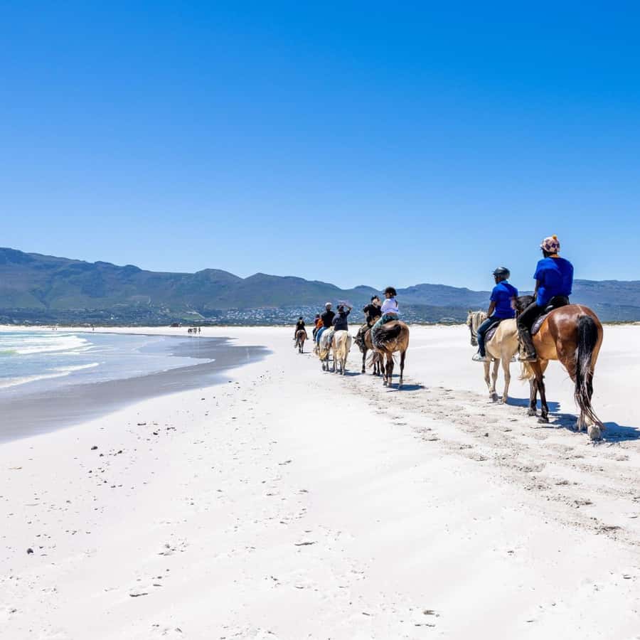 Cape Town: Beach Horse Ride with Hotel Pickup & Drop-off - Can you gallop on the beach?