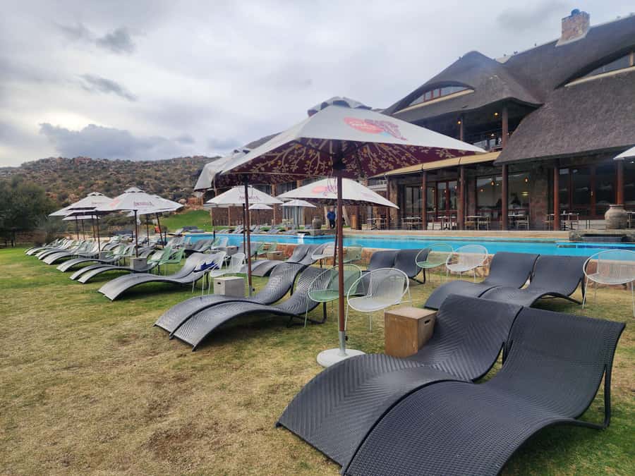 Cape Town big five safari with transport lunch Excl park fee - Big Five hopes and realistic expectations