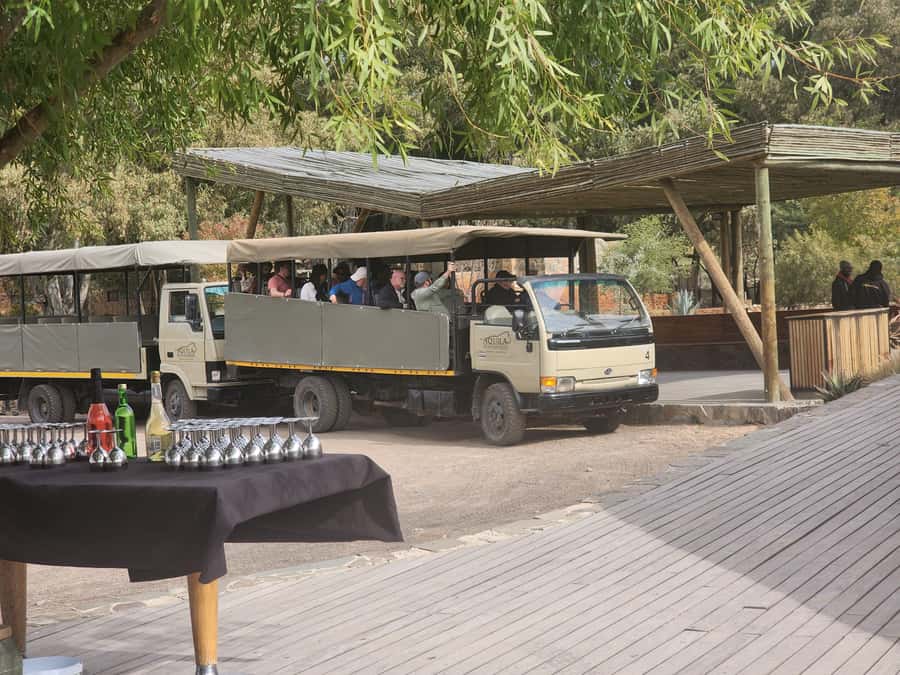 Cape Town big five safari with transport lunch Excl park fee - Lunch, pool time, and the value of a full-day visit
