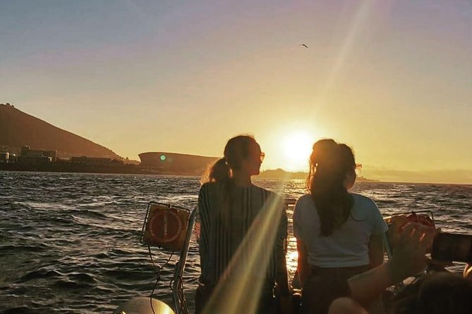 Cape Town Boat Trip - Wildlife sightings depend on luck and season