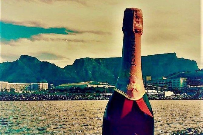 Cape Town Boat Trip - What the guide adds to the ride