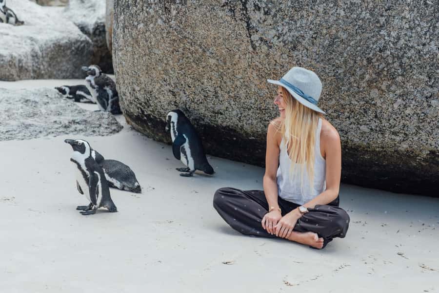Cape Town: Boulders Penguin Colony Prebooked Entry Ticket - Key points to know before you go
