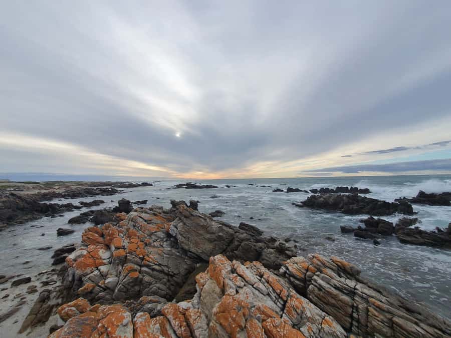 Cape Town: Cape Aghullas Van Tour with Hotel Pickup - Key points at a glance