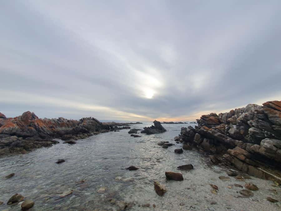 Cape Town: Cape Aghullas Van Tour with Hotel Pickup - Why Cape Agulhas is worth the long ride