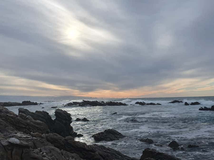 Cape Town: Cape Aghullas Van Tour with Hotel Pickup - The Elgin Valley and Bredasdorp countryside
