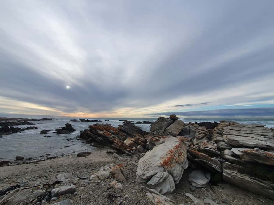 Cape Town: Cape Aghullas Van Tour with Hotel Pickup - Two hours at Hermanus