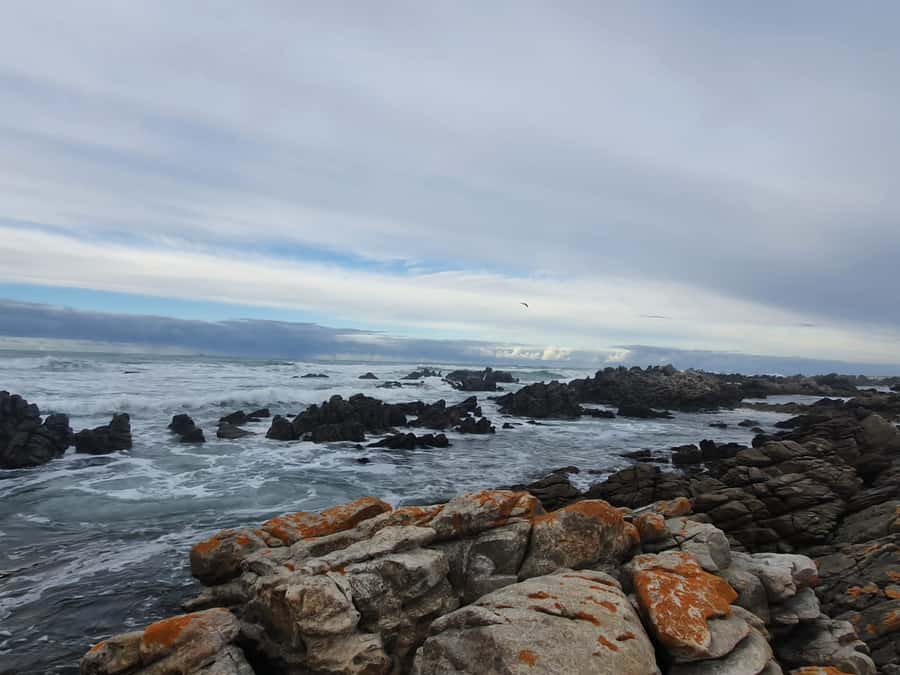Cape Town: Cape Aghullas Van Tour with Hotel Pickup - The Cape Agulhas stop and the lighthouse choice