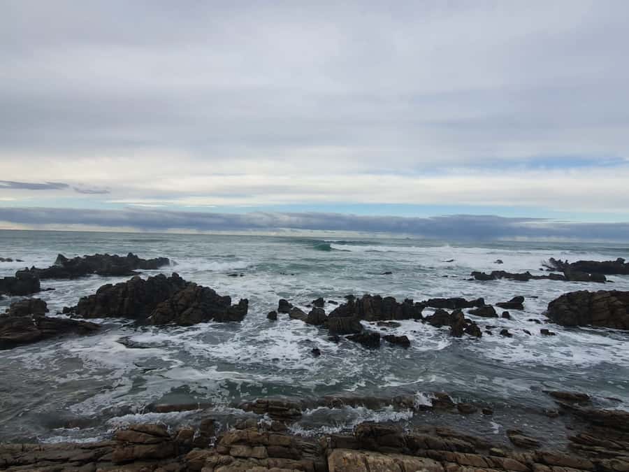 Cape Town: Cape Aghullas Van Tour with Hotel Pickup - Is $311 a fair price?