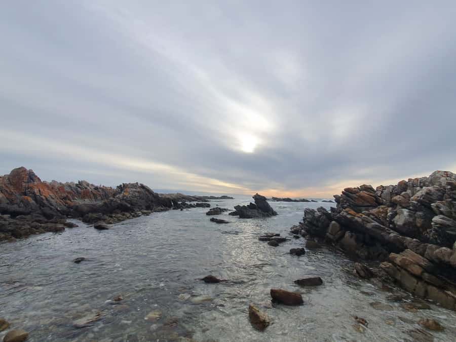 Cape Town: Cape Aghullas Van Tour with Hotel Pickup - Who will enjoy this tour most?