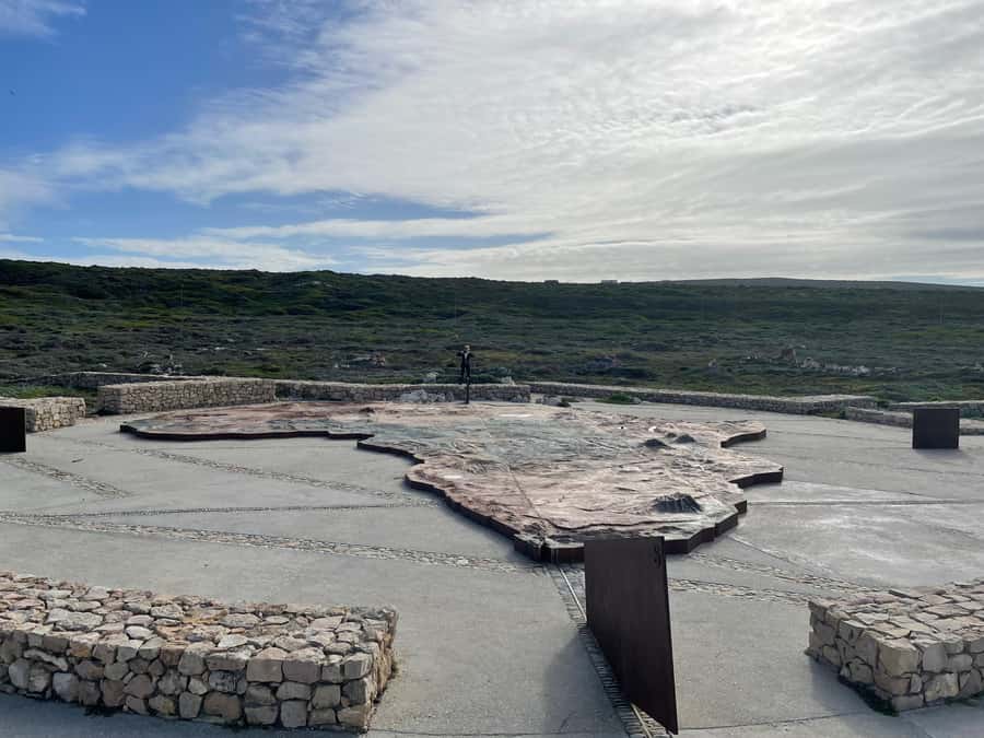 Cape Town: Cape Agulhas and Stony Point Penguin Tour - Stony Point: penguins without the Boulders crowds
