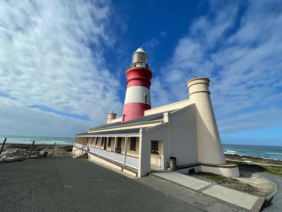 Cape Town: Cape Agulhas and Stony Point Penguin Tour - A private car makes the 10-hour route easier