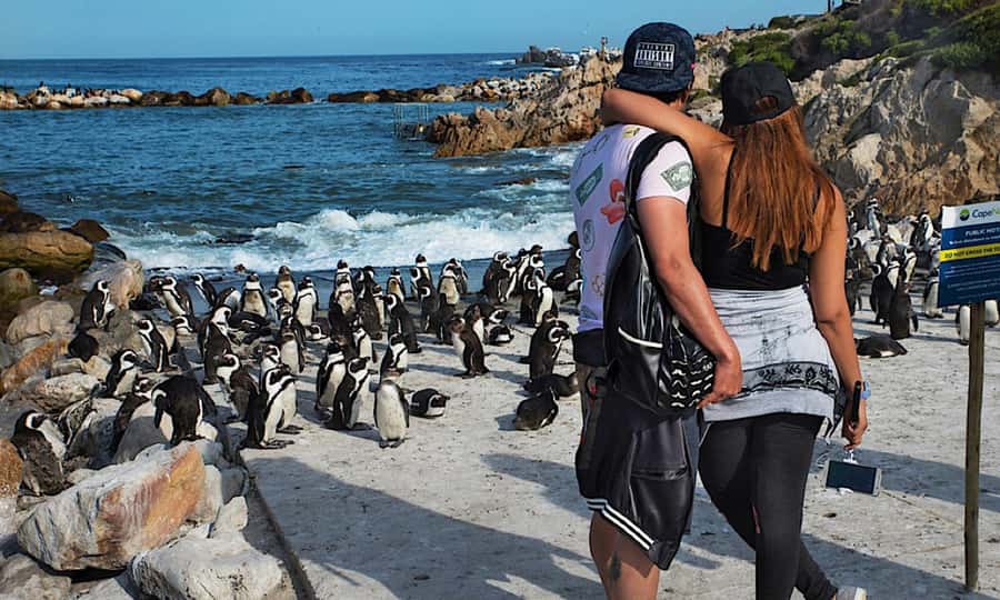 Cape Town: CAPE OF GOOD HOPE AND PENGUINS PRIVATE FULL DAY. - Bo-Kaap adds context to the city