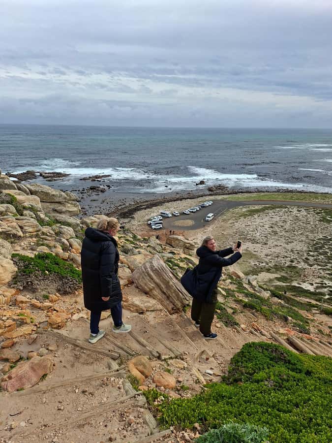 Cape Town: CAPE OF GOOD HOPE AND PENGUINS PRIVATE FULL DAY. - Hout Bay, seals, and the working harbor