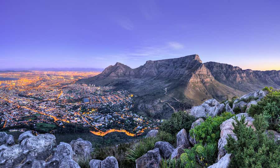 Cape Town: CAPE OF GOOD HOPE AND PENGUINS PRIVATE FULL DAY. - Chapmans Peak is the scenic driving highlight
