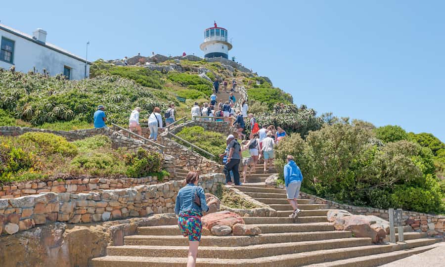 Cape Town: CAPE OF GOOD HOPE AND PENGUINS PRIVATE FULL DAY. - Cape of Good Hope Nature Reserve and Cape Point