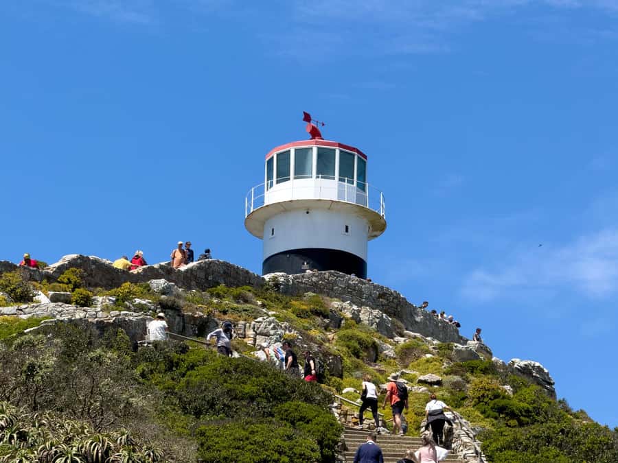 Cape Town: Cape of Good Hope & Penguin Colony Entry Ticket - Should you book the Cape Point and penguin ticket?