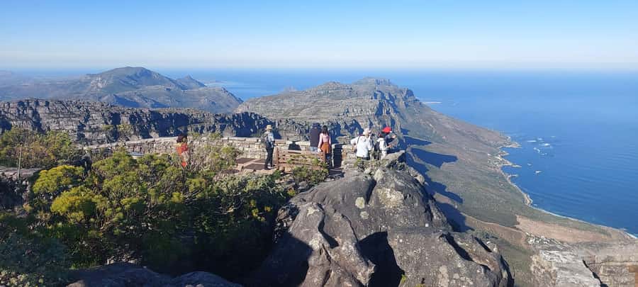 Cape Town: Cape of Good Hope, Penguins and Sightseeing Tour - Timing, transport and guide quality