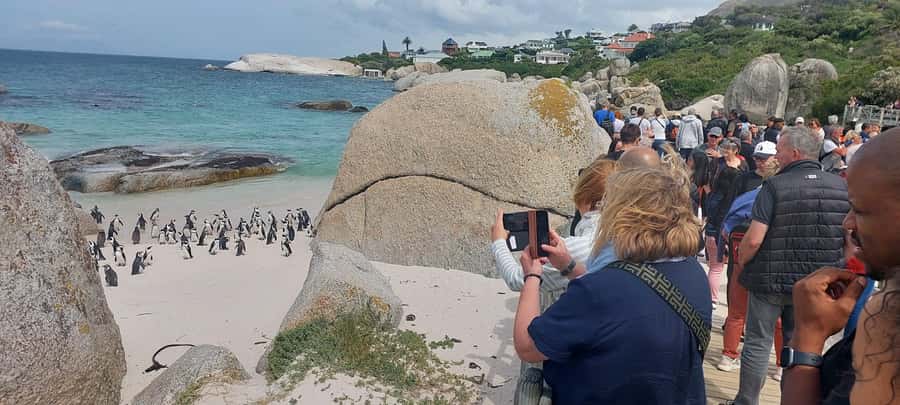Cape Town: Cape of Good Hope, Penguins and Sightseeing Tour - Table Mountain before the crowds and coast