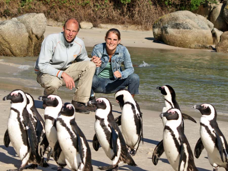 Cape Town: Cape of Good Hope & Penguins Day Tour with Pickup - Pickup, the Sprinter, and the long day ahead