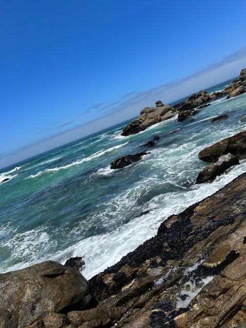 Cape Town: Cape of Good Hope & Penguins Full-Day Guided Tour - Guides make the difference