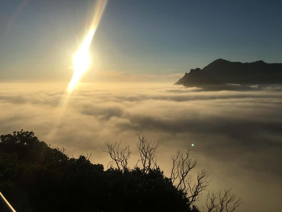 Cape Town: Cape of Good Hope & Penguins Full-Day Guided Tour - Noordhoek Farm Village and a coffee break