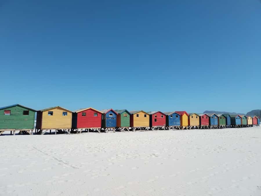 Cape Town: Cape of Good Hope, Penguins Instagram Group Tour - Is $37 really good value?
