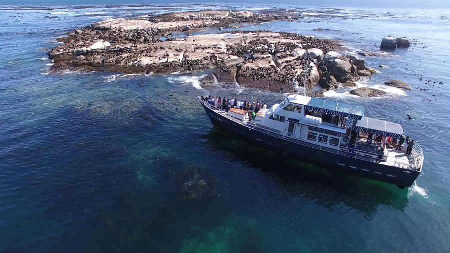 Cape Town: Cape of Good Hope, Seals and Penguins Day Tour - Why this 10-hour route works for first-time visitors