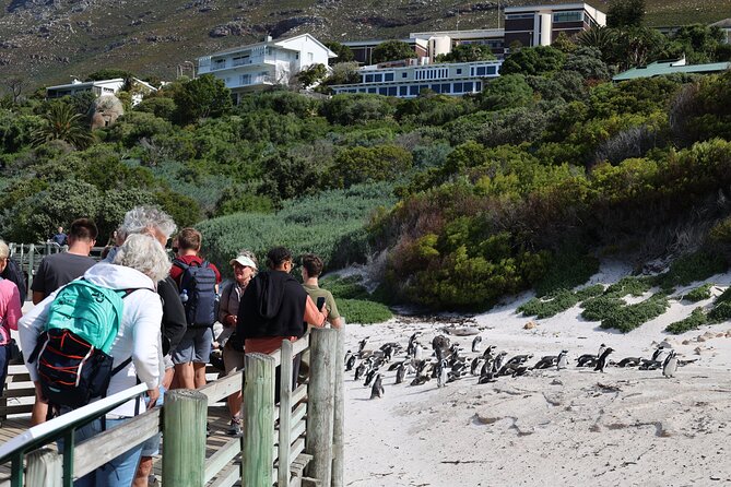 Cape Town: Cape of Good Hope, Table Mountain & Wine Tasting Tour - Cape Point Vineyards and a taste of Noordhoek