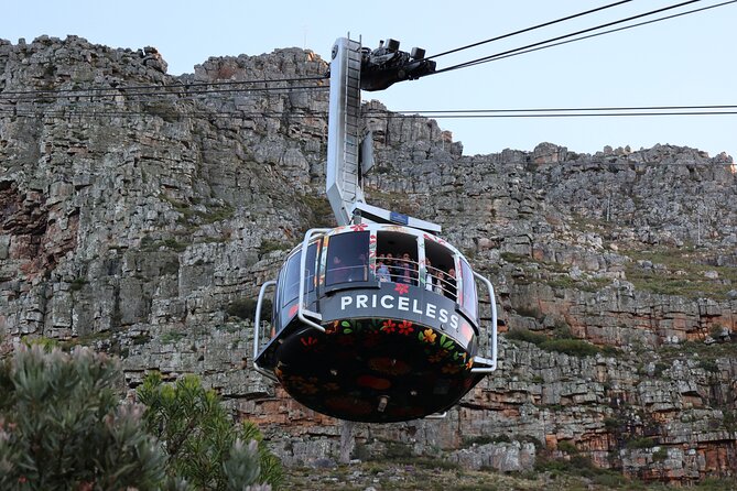 Cape Town: Cape of Good Hope, Table Mountain & Wine Tasting Tour - Boulders Beach and the African penguins