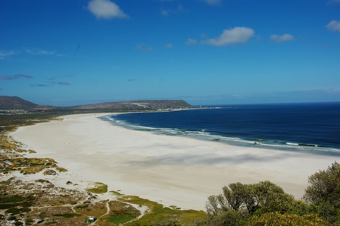 Cape Town: Cape Peninsula Half Day Private Tour - Why this five-hour route works well