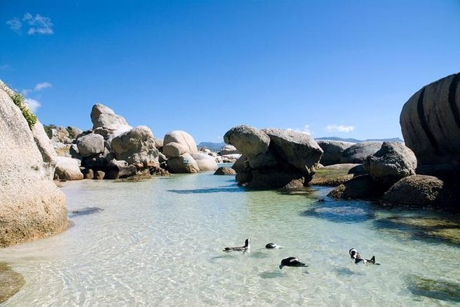 Cape Town: Cape Peninsula Half Day Private Tour - Two hours inside the Cape of Good Hope Nature Reserve
