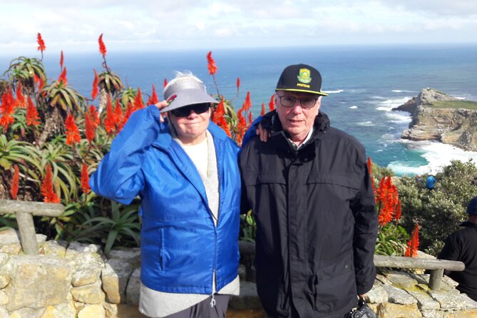 Cape Town: Cape Peninsula Half Day Private Tour - What the guide adds to the drive