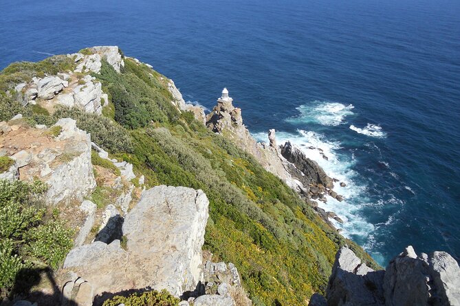Cape Town: Cape Peninsula Half Day Private Tour - Who should choose this half-day tour