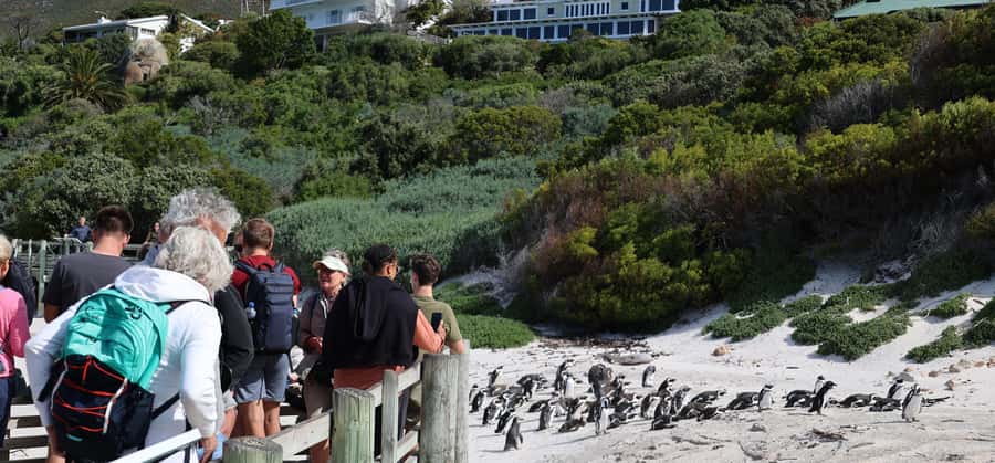 Cape Town: Cape Point & Boulders Beach Day Tour - Key points at a glance