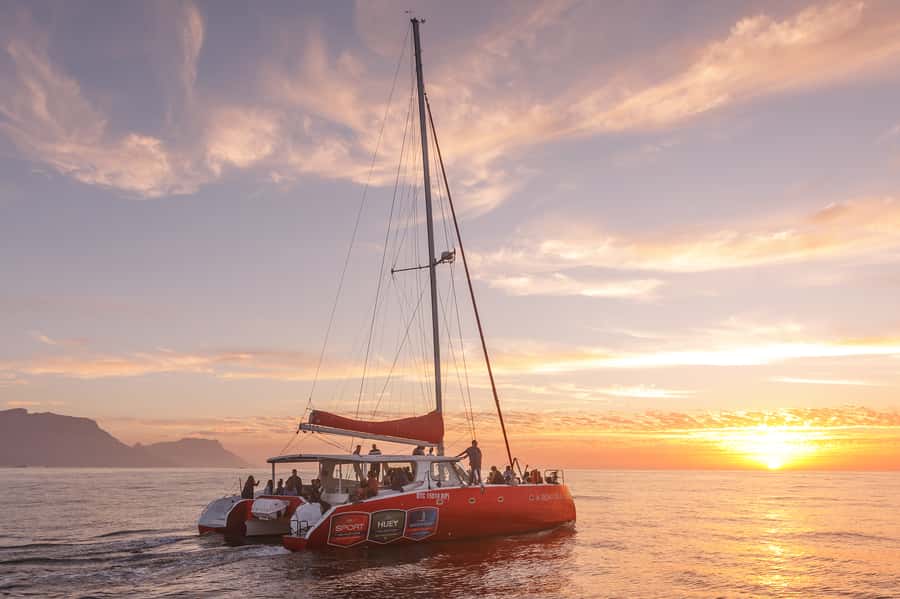 Cape Town: Catamaran Champagne Sunset Cruise - Who should book this cruise