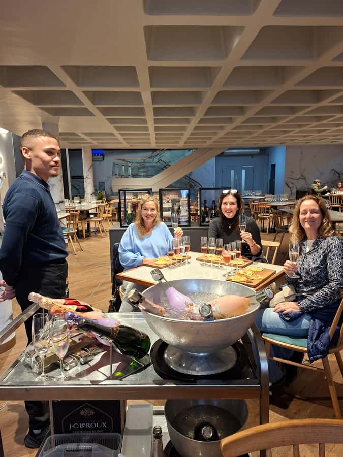Cape Town: CHEETAH ENCOUNTER/WINE TESTING EXPERIENCE/LUNCH - Ernie Els for views and a relaxed tasting room