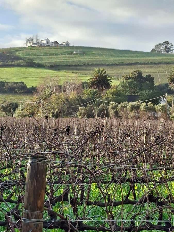 Cape Town: CHEETAH ENCOUNTER/WINE TESTING EXPERIENCE/LUNCH - The practical details that matter
