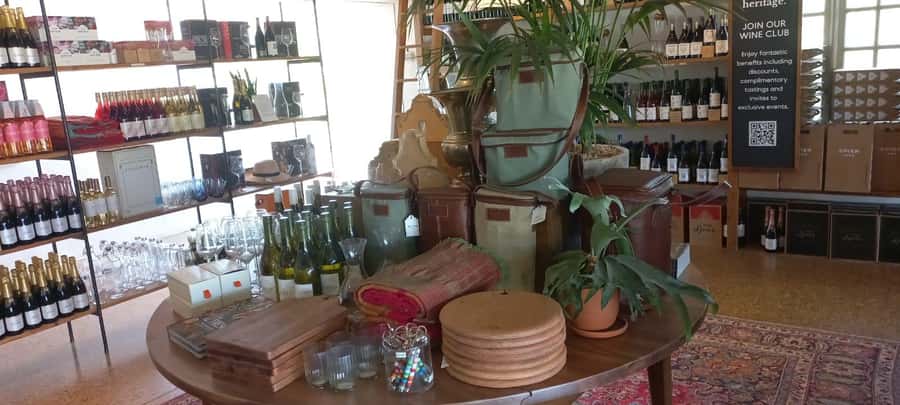 Cape Town: Cheetah Outreach and Winelands Day Tour - Key points to know before booking
