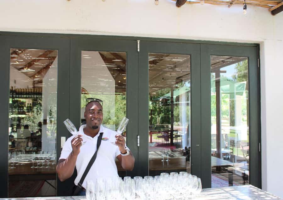 Cape Town: Cheetah Outreach and Winelands Day Tour - Why this Cape Town combination works