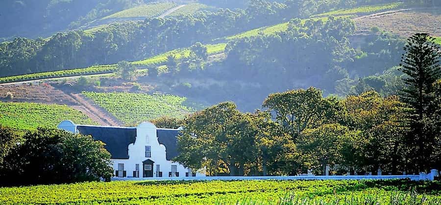 Cape Town: Cheetah Outreach and Winelands Day Tour - The guide can shape the whole day