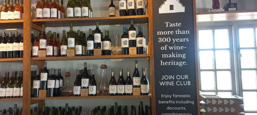Cape Town: Cheetah Outreach and Winelands Day Tour - Leaving Cape Town for Somerset West