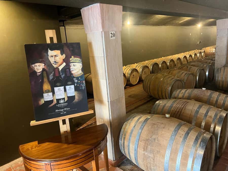 Cape Town: Cheetah Outreach, Giraffe Encounter & Wine Tour - Stellenbosch wine tasting after the animals