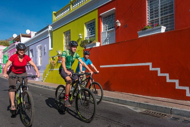Cape Town City Cycling Tour - Company’s Garden: trees, politics, and a historic pear