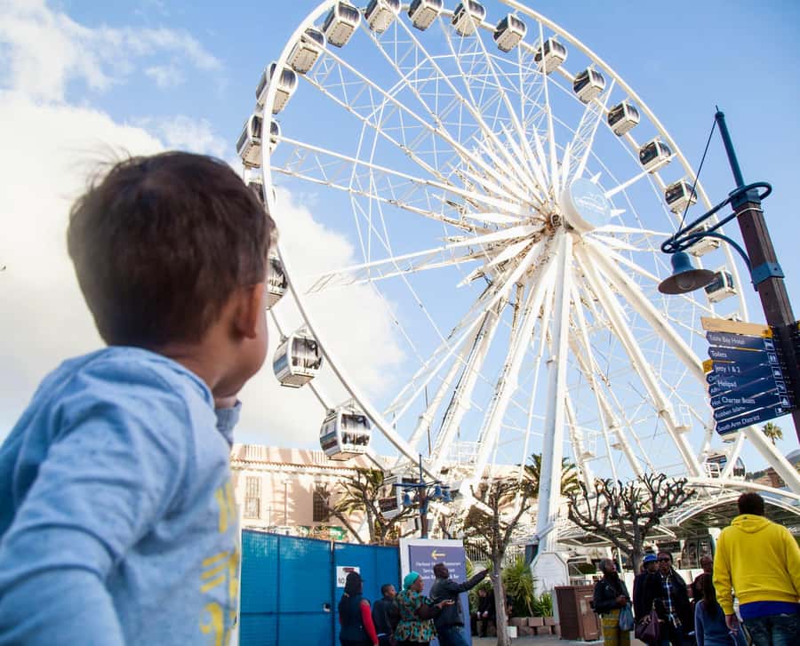 Cape Town City Pass: Save Over 50% on 80+ Top Attractions - Wine country without choosing just one estate