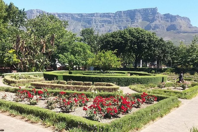Cape Town City Tour Camps Bay Beach Plus Table Mountain Ticket - Bo-Kaap’s painted houses and Cape Malay culture