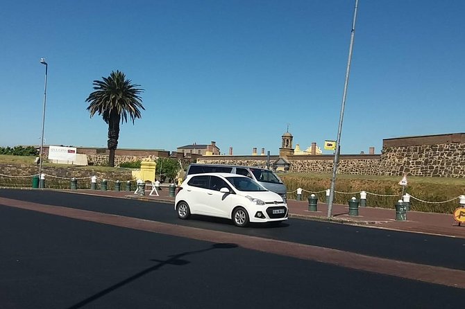 Cape Town City Tour Camps Bay Beach Plus Table Mountain Ticket - Company’s Garden, with history under the trees