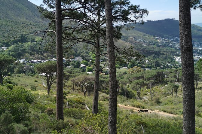 Cape Town City Tour including Lion's head with Wi-Fi on board. - Table Mountain views without a separate mountain visit