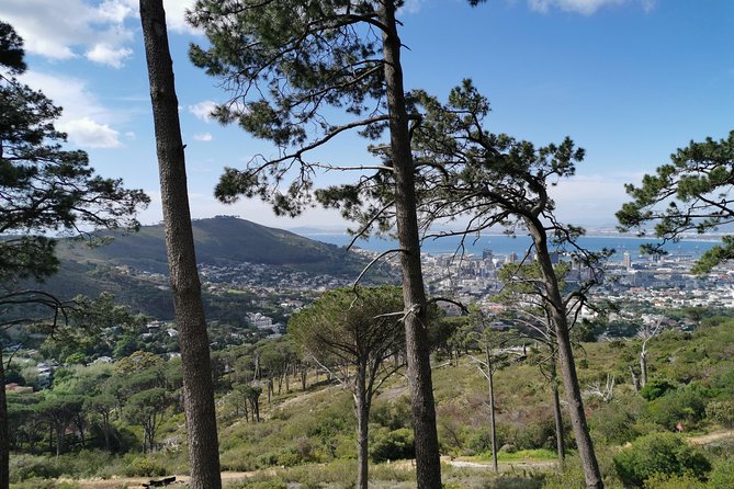 Cape Town City Tour including Lion's head with Wi-Fi on board. - Camps Bay and the coastal side of Cape Town