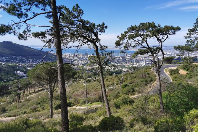 Cape Town City Tour including Lion's head with Wi-Fi on board. - The V&A Waterfront and the harbor view
