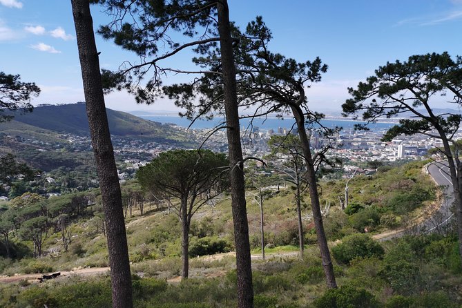 Cape Town City Tour including Lion's head with Wi-Fi on board. - A guide can make the route feel personal